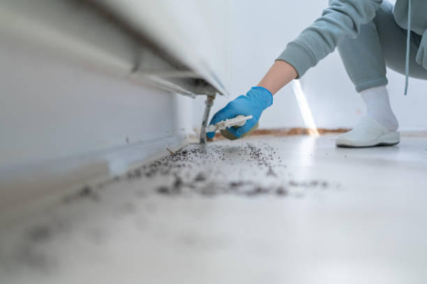 Best Pest Removal Services  in USA